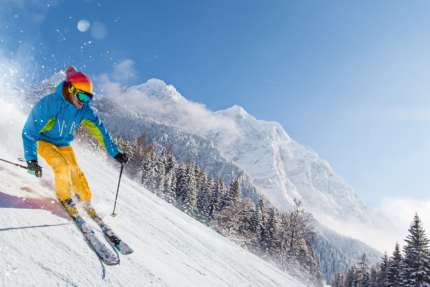 adobestock-228526459s